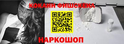 индика Ярославль