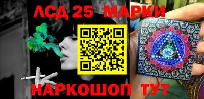 индика Ярославль