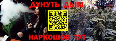 индика Ярославль