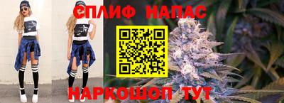 молекула духа Ярцево